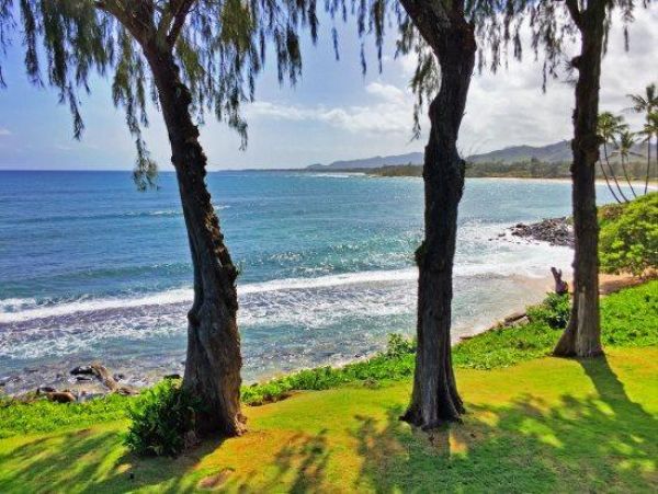 Koloapoipu Condo 976939