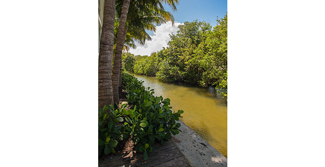 Miami Beach Home 976962