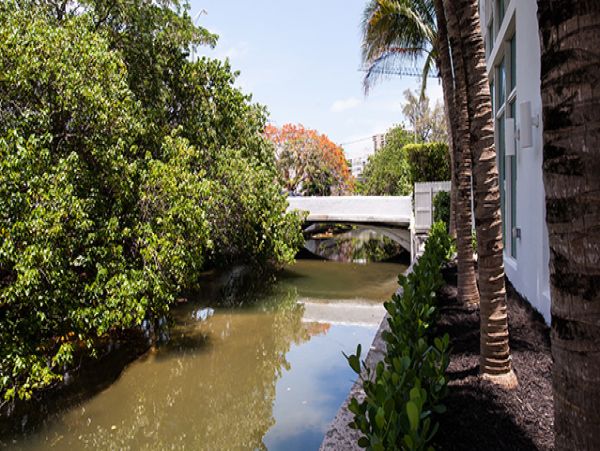 Miami Beach Home 976964