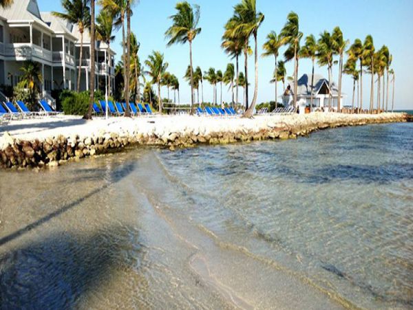 The Florida Keys Condo 976972
