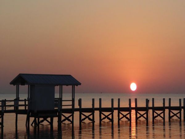 The Florida Keys Condo 976982
