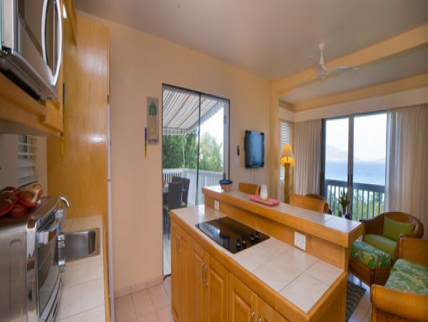 British Virgin Islands Home 977038