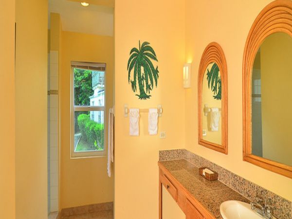 British Virgin Islands Home 977041