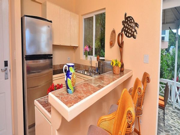 British Virgin Islands Home 977046