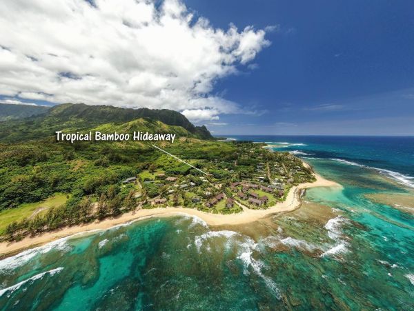 Hanalei Home 977109