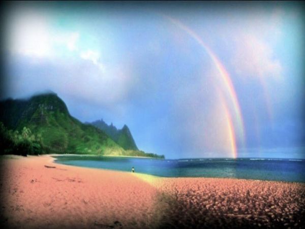 Hanalei Home 977110