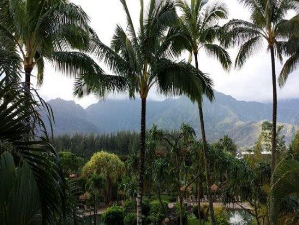 Hanalei Condo 977112