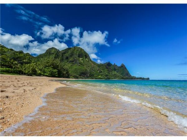 Hanalei Home 977114