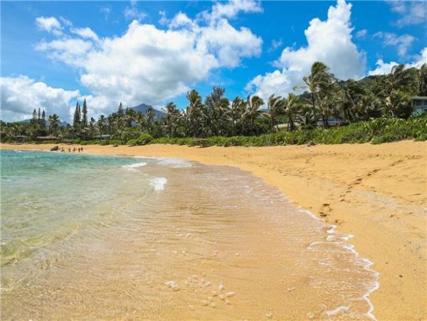 Hanalei Home 977114