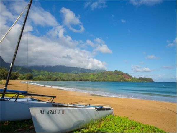 Hanalei Home 977115