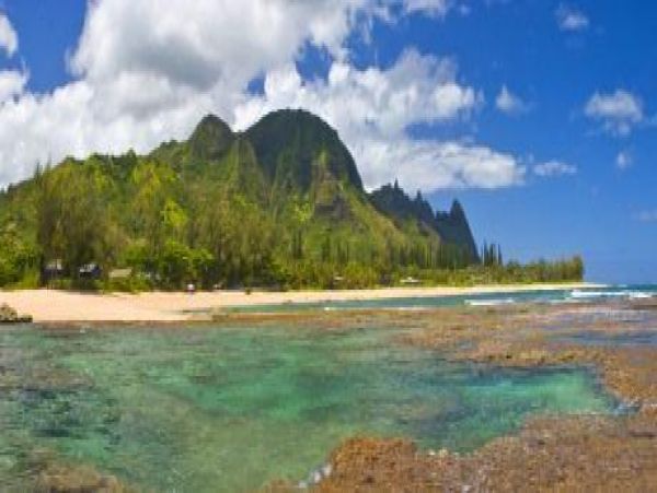 Hanalei Home 977119