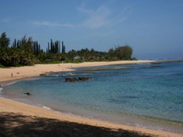 Hanalei Home 977119