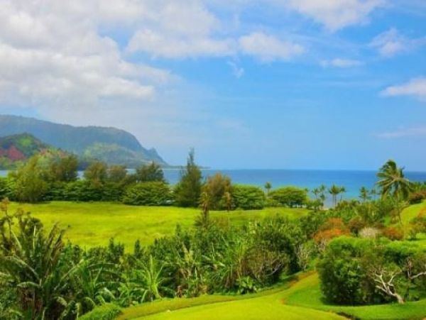 Hanalei Condo 977120