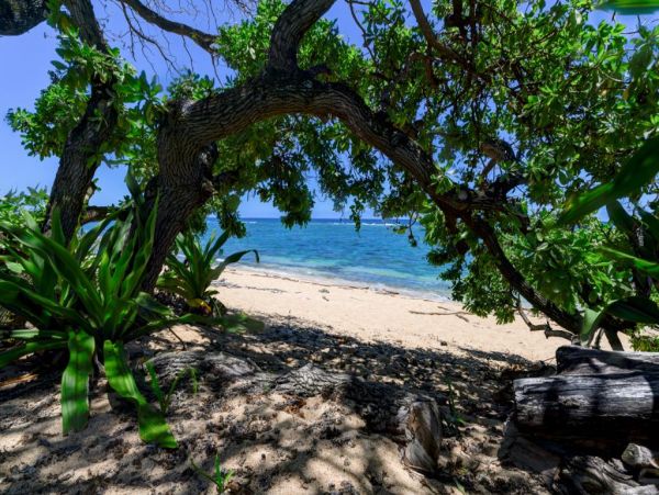 Hanalei Home 977123