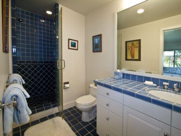 Hanalei Home 977124