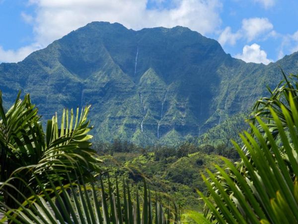 Hanalei Home 977130