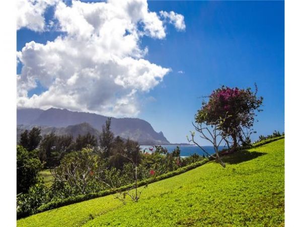 Hanalei Condo 977131
