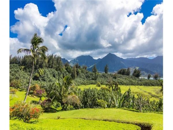 Hanalei Condo 977131