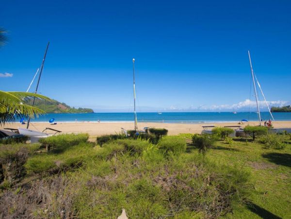 Hanalei Home 977133