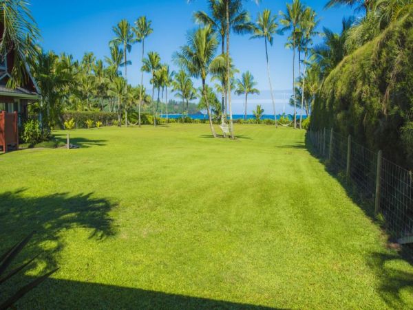 Hanalei Home 977133