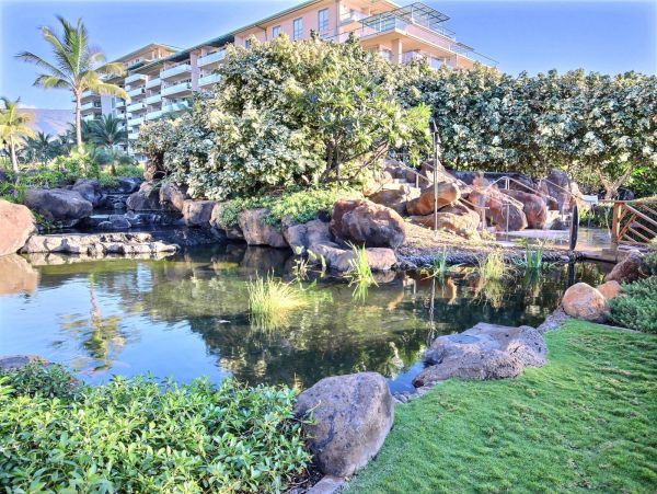 Kaanapali Condo 977136