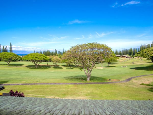 Kapalua Condo 977140