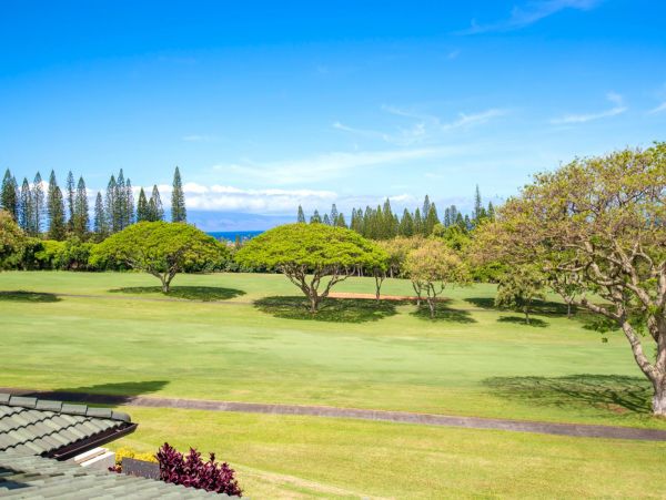 Kapalua Condo 977140