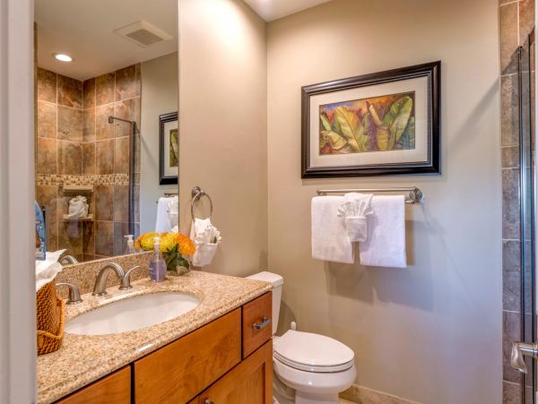 Kapalua Condo 977140