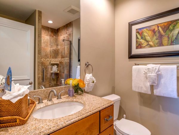 Kapalua Condo 977140