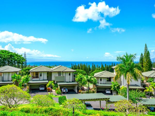 Kapalua Condo 977142