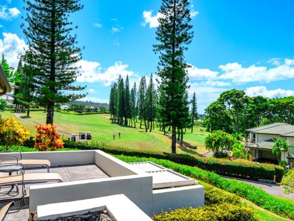 Kapalua Condo 977142