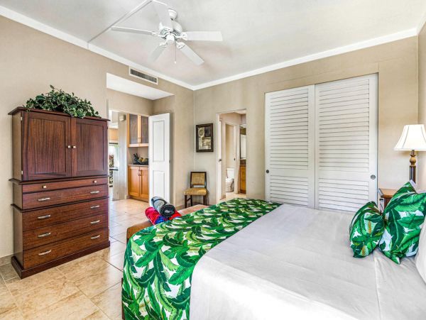 Kapalua Condo 977142