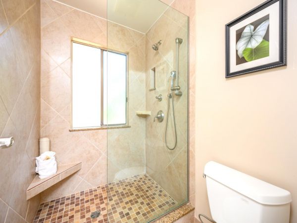 Kapalua Condo 977142