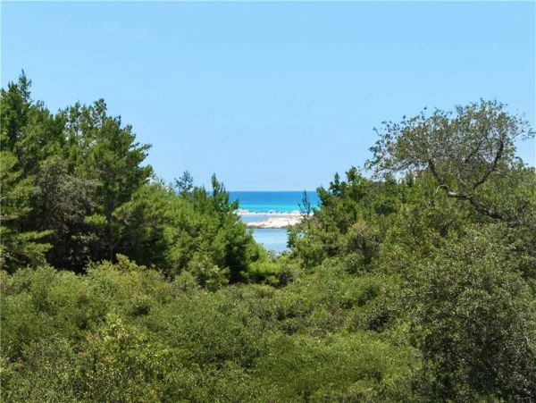 Destin Condo 977177