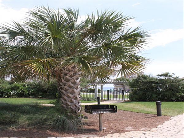 Beaches Of South Walton Condo 977219