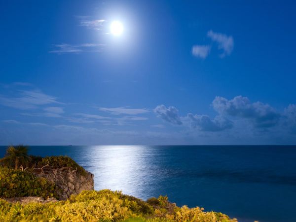Turks and Caicos Beach Vacation Home  + 3 Guest Houses