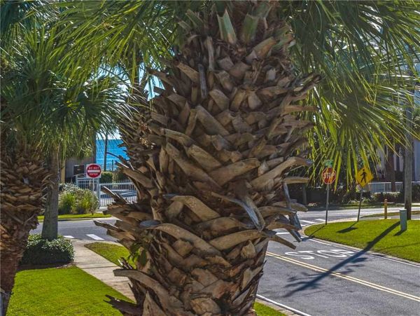 Destin Condo 977257