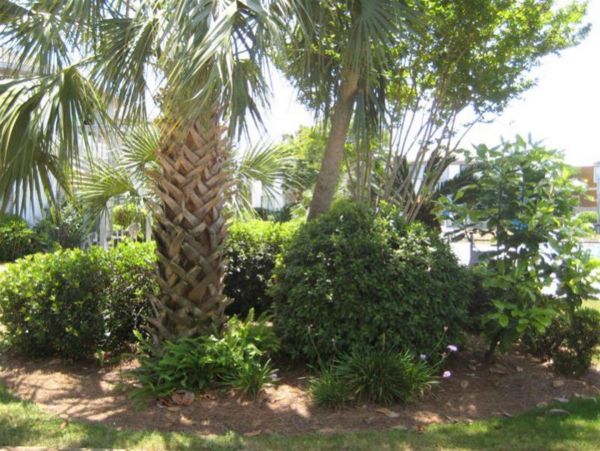 Destin Condo 977271