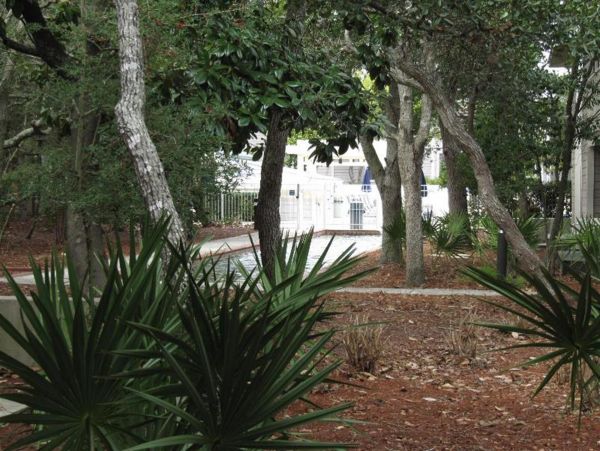 Beaches Of South Walton Home 977334