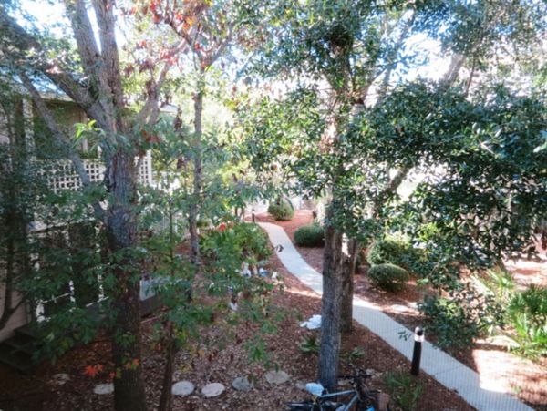 Beaches Of South Walton Home 977339