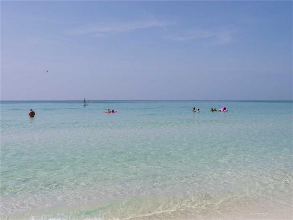 Destin Condo 977355