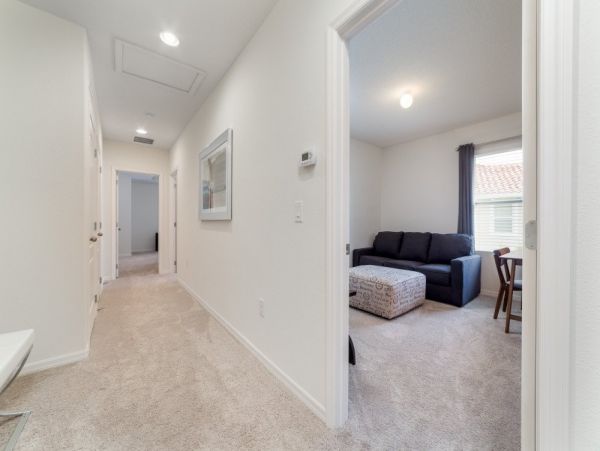 Orlando Home 977393