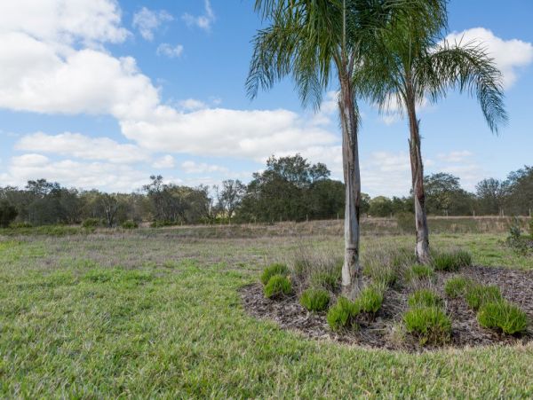 Orlando Home 977393