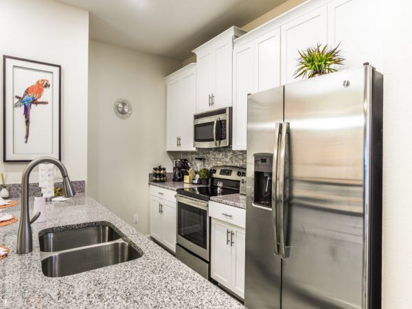Orlando Home 977405