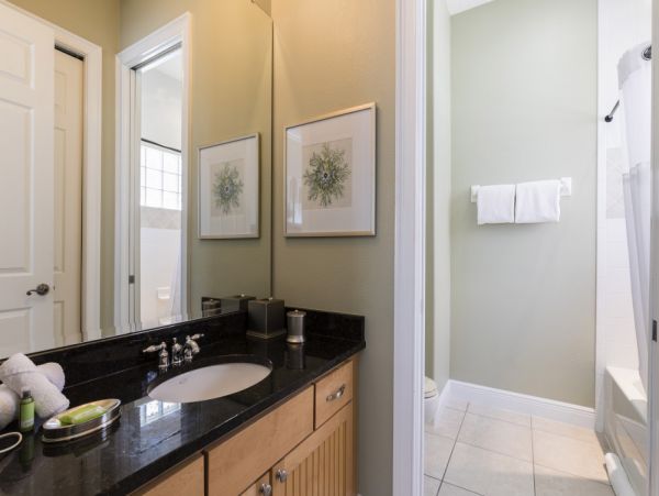 Orlando Home 977406