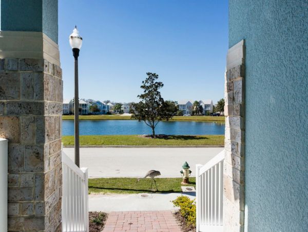 Orlando Home 977432