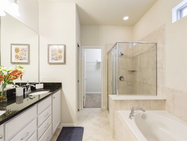 Orlando Home 977454