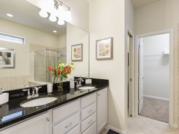 Orlando Home 977454