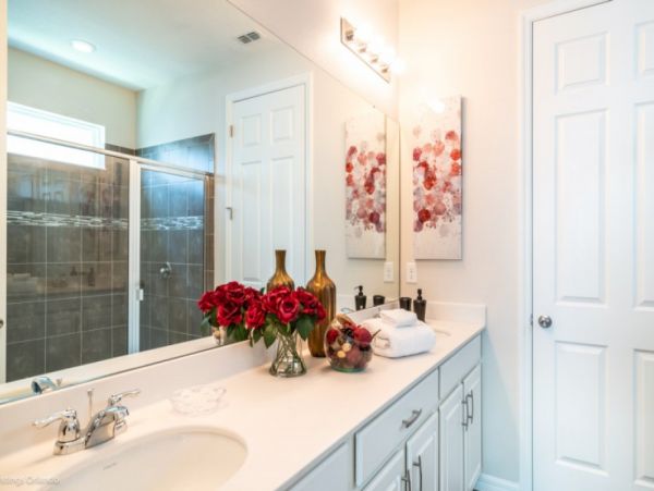 Orlando Home 977467