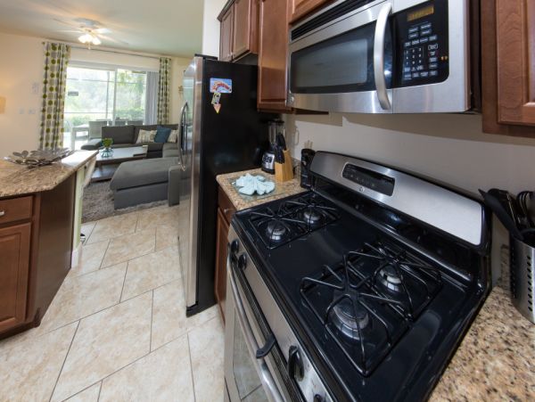 Orlando Home 977497